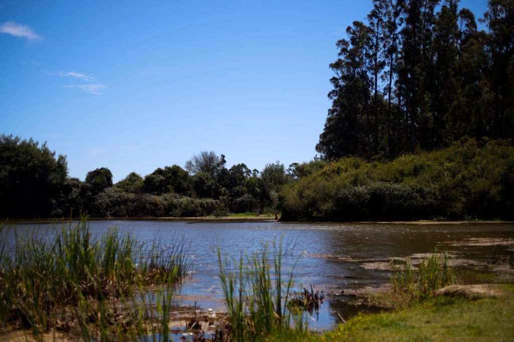 foto humedal El Criquet